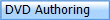  DVD Authoring